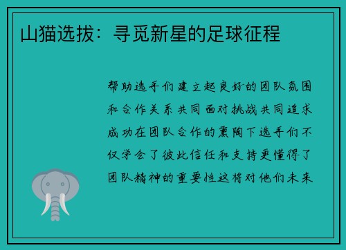 山猫选拔：寻觅新星的足球征程
